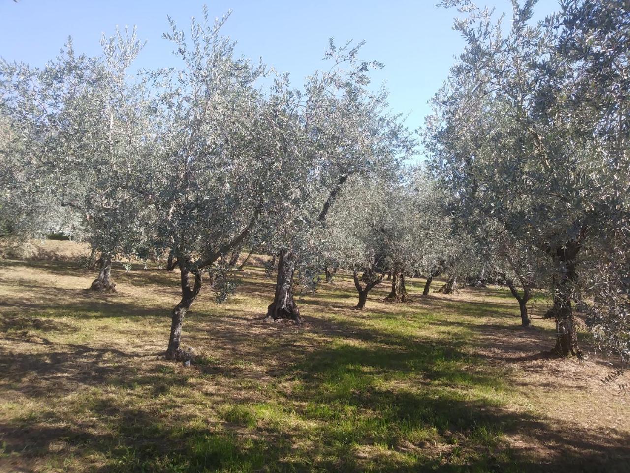 Ai Bastiani Vila Capannori Exterior foto